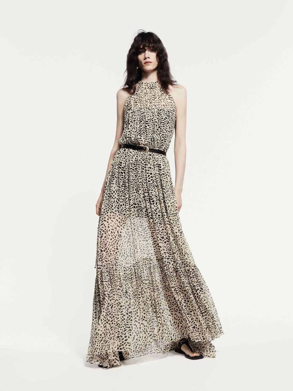 Animal Print