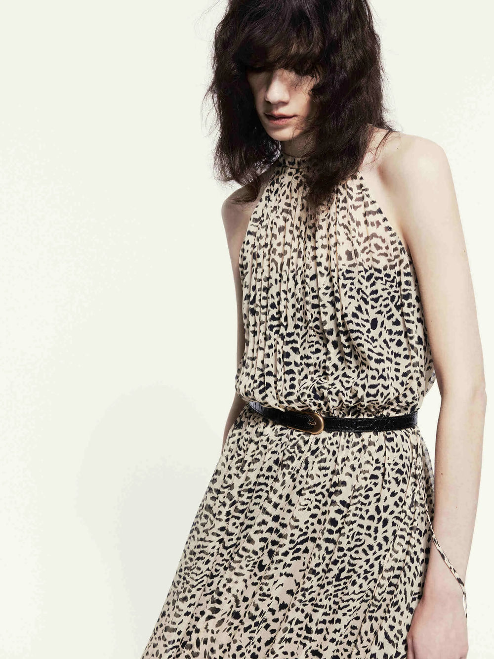 Animal Print